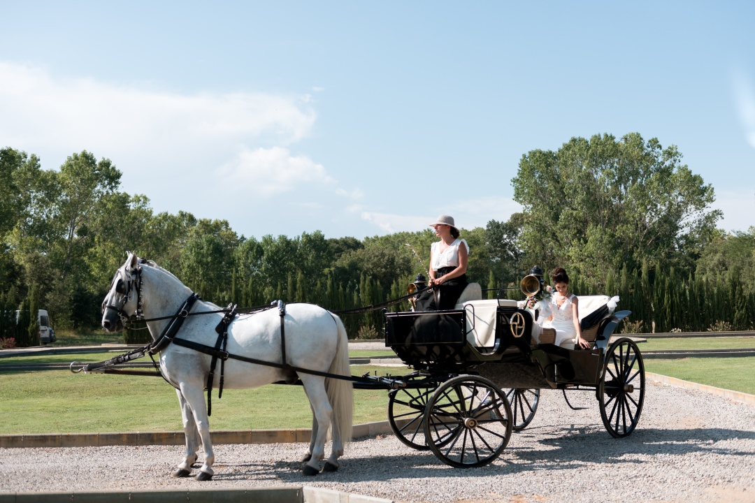 horse and carriage for Asian bride 