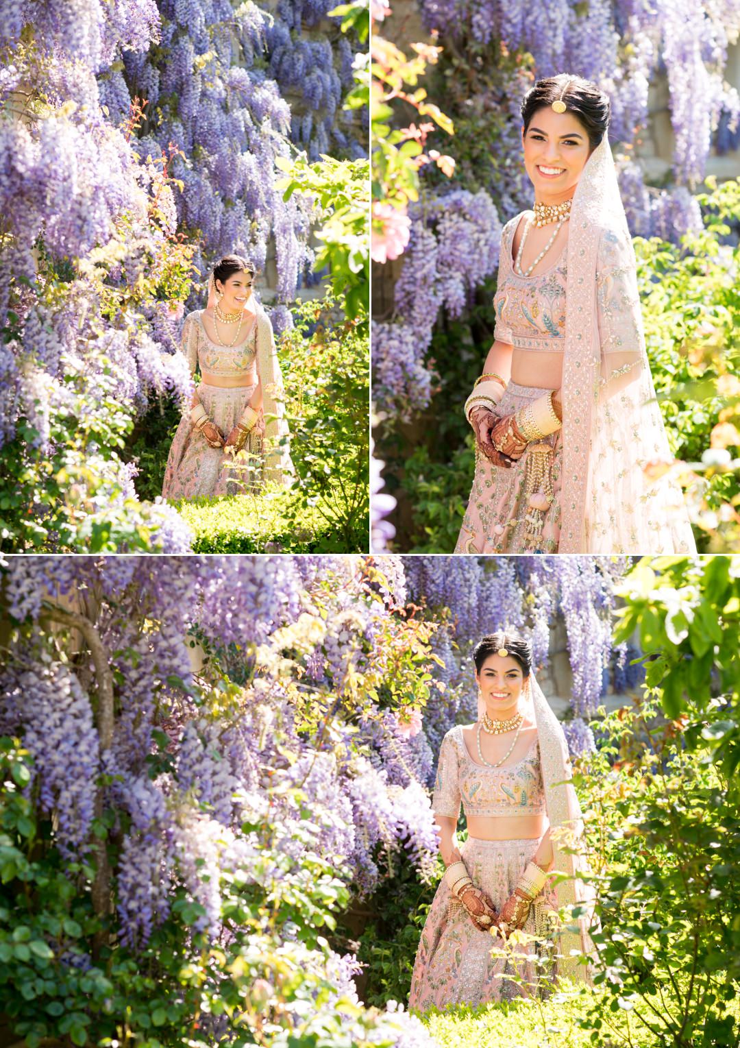 Stunning wisteria photos of Indian bride at Euridge Manor